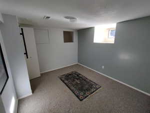 Bedroom without furniture Basement  carpeted flooring.