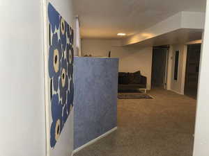 View from stairs leading to downstairs living quarters with carpet flooring in living room.