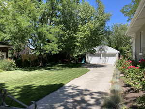 Summer view of yard, driveway, garage and an abundance of rose bushes.