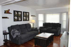 Living room with crown molding, dark hardwood / wood-style floors, and a textured ceiling