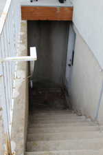 Stairs featuring Walkout basement.