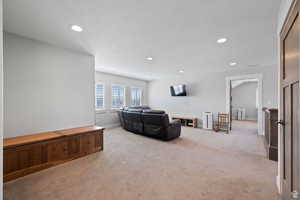 Living room featuring light colored carpet and a textured ceiling