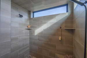 Bathroom featuring tiled shower