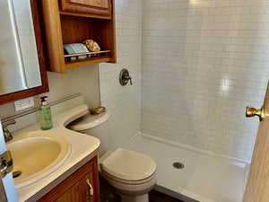 Bathroom featuring vanity, toilet, and tiled shower