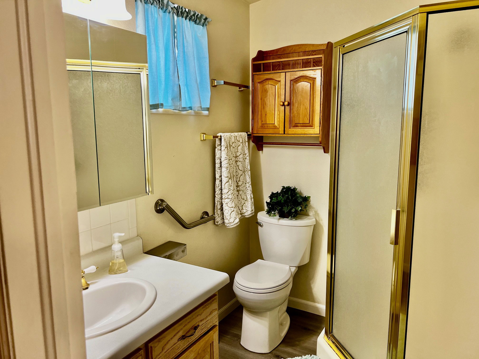 Bathroom with vanity, wood finished floors, toilet, and a shower stall