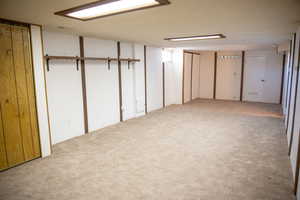 Basement with light colored carpet