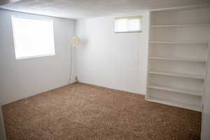 Basement with carpet flooring and a textured ceiling