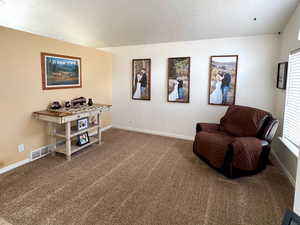 Carpeted living room with vaulted ceiling and a textured ceiling