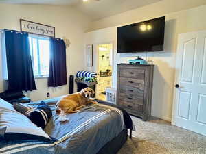 Bedroom featuring ceiling fan, lofted ceiling, carpet flooring, and a textured ceiling