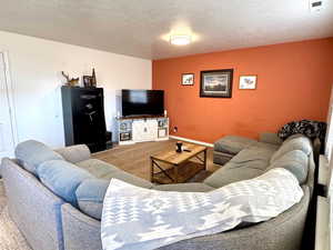 Carpeted living room with a textured ceiling