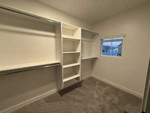 Walk in closet featuring dark carpet