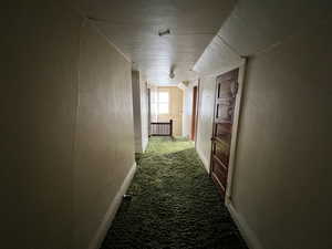 Hall with carpet