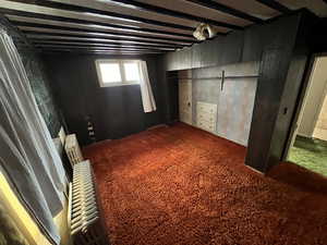 Basement with carpet floors