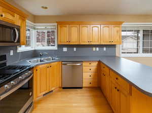 Kitchen with a healthy amount of sunlight, appliances with stainless steel finishes, sink, and light wood-type flooring