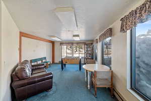 Recreation room with carpet and a textured ceiling