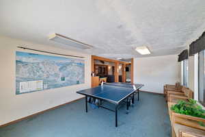 Rec room with a textured ceiling and carpet