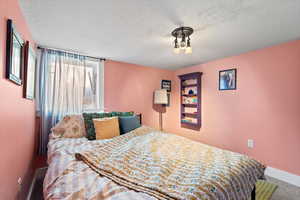 Carpeted bedroom with a textured ceiling