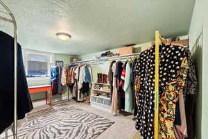 Spacious closet featuring carpet flooring