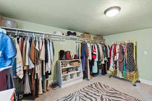 Walk in closet featuring carpet floors