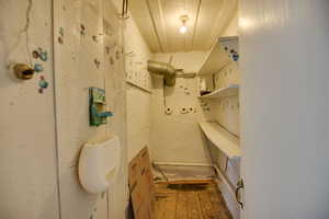 Bathroom with wood-type flooring