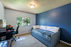 Office area with carpet floors and a textured ceiling