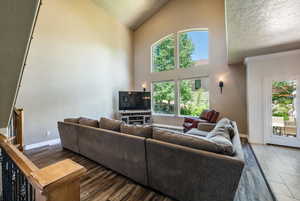 Living room featuring dark wood-type flooring, high vaulted ceiling, and a textured ceiling