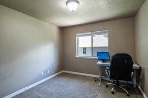 Office area featuring carpet floors and a textured ceiling