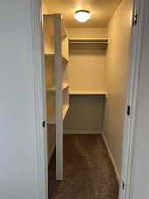 Walk in closet with dark carpet