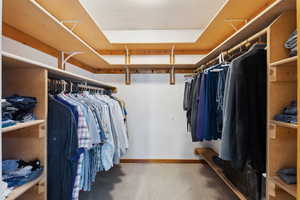 Spacious closet with carpet