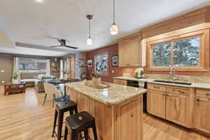 Kitchen featuring hanging light fixtures, a center island, sink, and light hardwood / wood-style flooring