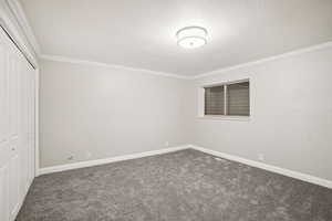 Basement bedroom 1 view of window.