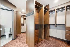 Master bathroom Walk in closet featuring wood-type flooring