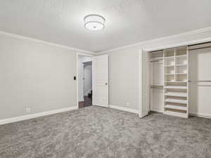 Basement bedroom 1 featuring closet organizer