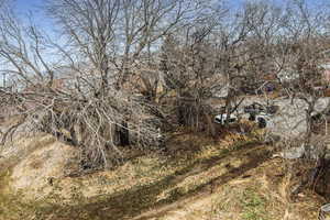 View of local wilderness