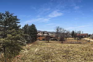 View of yard with a rural view