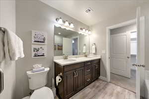 Bathroom with vanity, wood-type flooring, and toilet