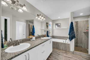 Bathroom, plus walk in shower, wood-type flooring, and vanity