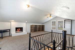 Carpeted bedroom with lofted ceiling and a textured ceiling