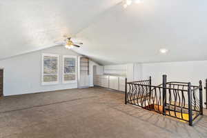 Additional living space featuring vaulted ceiling, built in shelves, carpet floors, and a textured ceiling