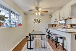 Dining room featuring sink, ceiling fan, and light hardwood / wood-style flooring