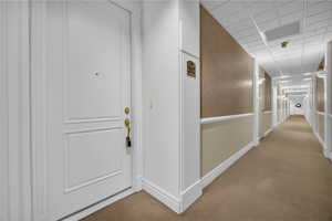 Hallway featuring a drop ceiling and light colored carpet