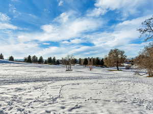 View of snowy yard