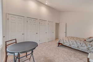 Bedroom with multiple closets, carpet flooring, and high vaulted ceiling