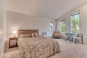 Carpeted bedroom featuring lofted ceiling