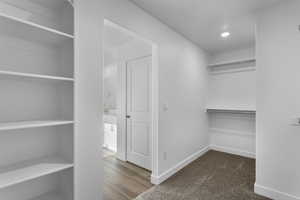 Walk in closet with dark carpet