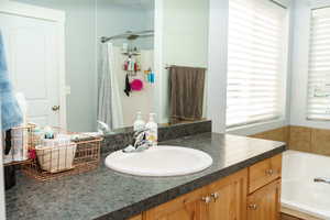 Bathroom with vanity and a washtub