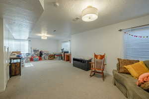 Basement family room with carpet floors