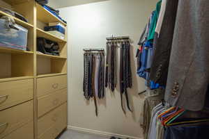 Walk in closet featuring light colored carpet