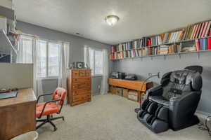 Bedroom featuring light carpet