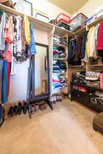 Spacious closet featuring carpet